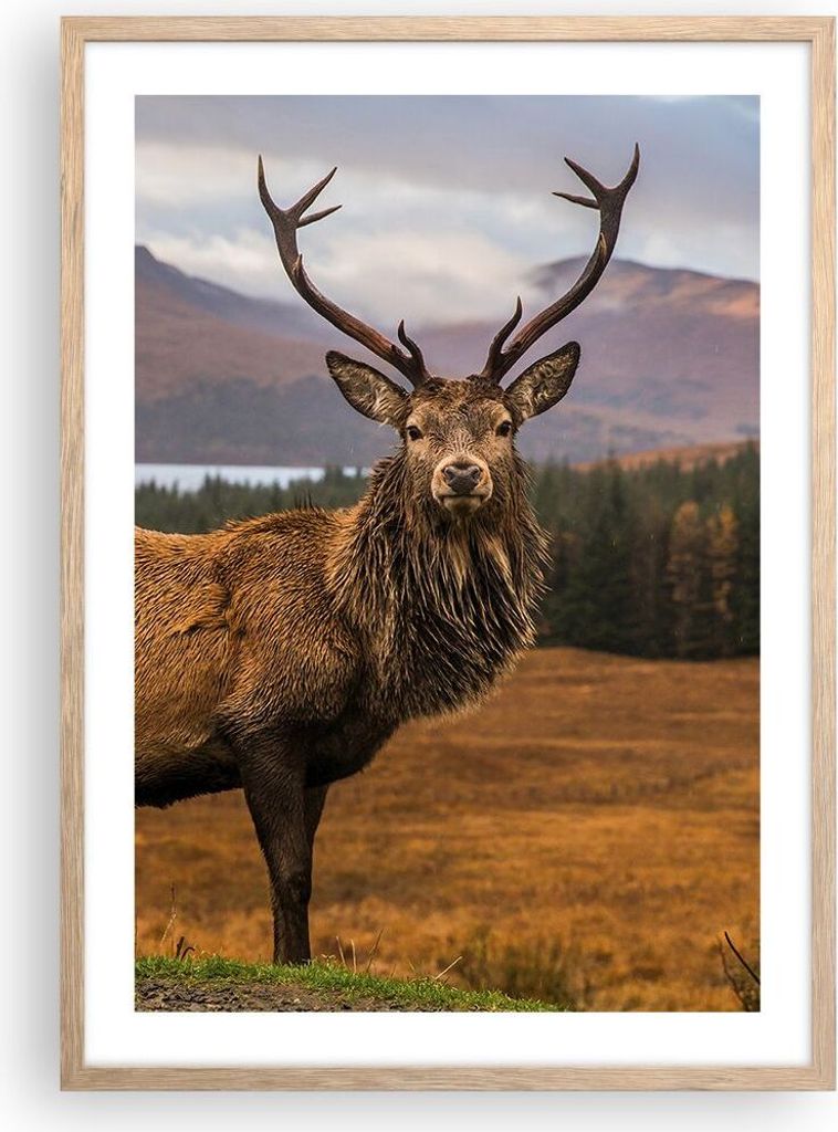 Gerahmtes Poster - Rahmen in heller Eiche - Rehe Wiese Berge - 50x70 cm - Wand Bild - Wanddeko - Wandbilder - Kunstposter - Wandposter - Bilderrahm...