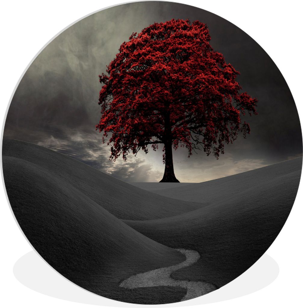 MuchoWow Rundes Wandbild - Runde Bilder Ein Schwarz-Weiß-Foto mit einem großen roten Baum Ø 60 cm Kreis Wanddekoration Kunststoff - Wandkreis ...