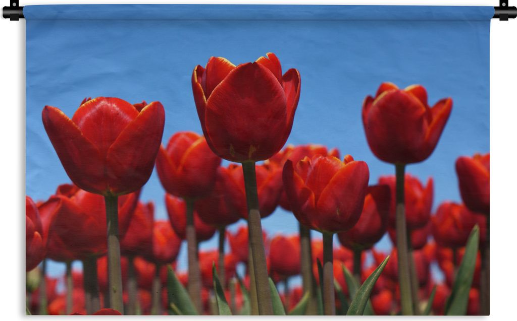 MuchoWow Wandteppich Wandbehang Die Rote Tulpe 150x100 cm Tapisserie Dekoration Wandtuch - Waschbar - Tapisserien - Wand-Decke