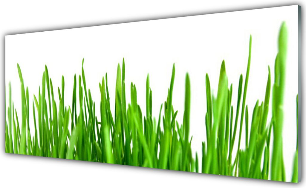 Acrylglasbilder 125x50 Wandbild Druck Gras Pflanzen