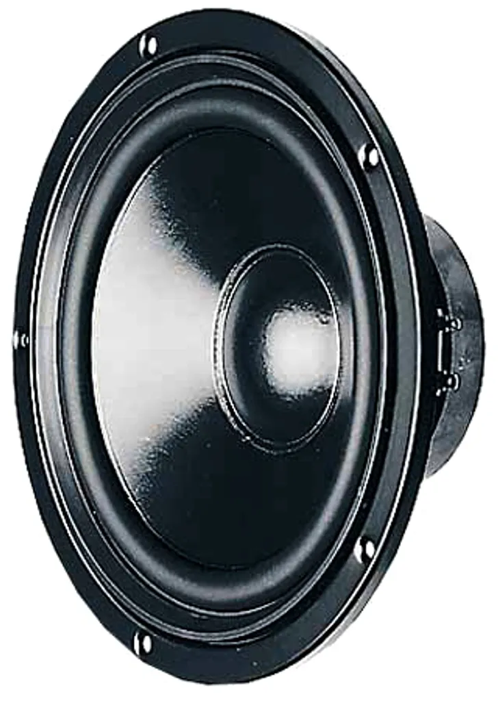 OFFERTA Woofer Visaton W 200 S 4 Ohm 8 Pollici 23cm | Spedizione Rapida