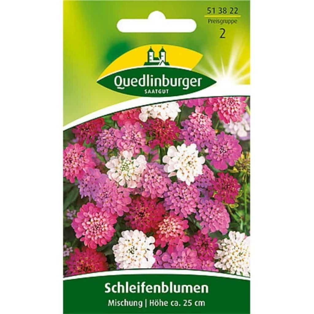 Quedlinburger Saatgut - Schleifenblume Mischung - Samen - 513822