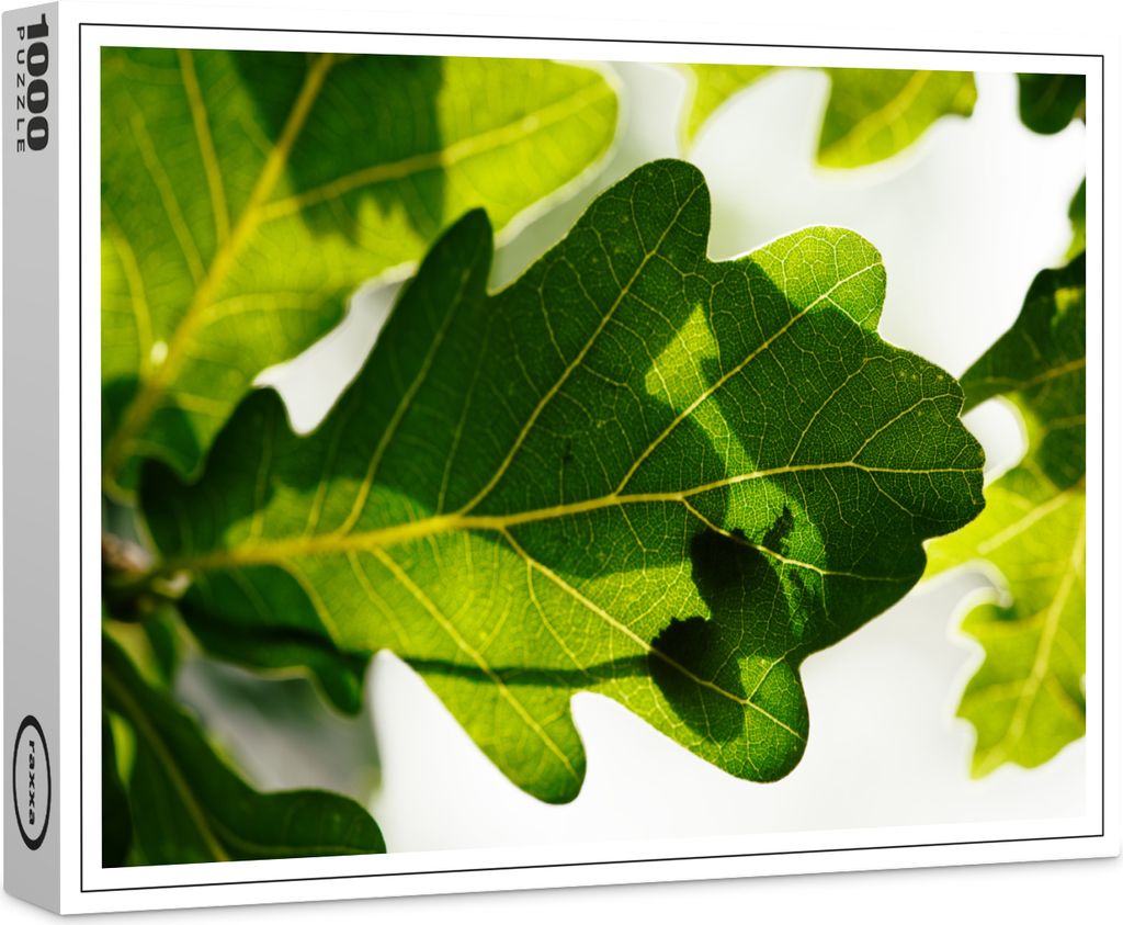 raxxa Premium-Puzzle "Eichenblatt mit Ameisen", 1000 Teile