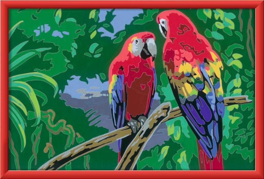 Bunte Papageien Ravensburger 23770 Produktbild 