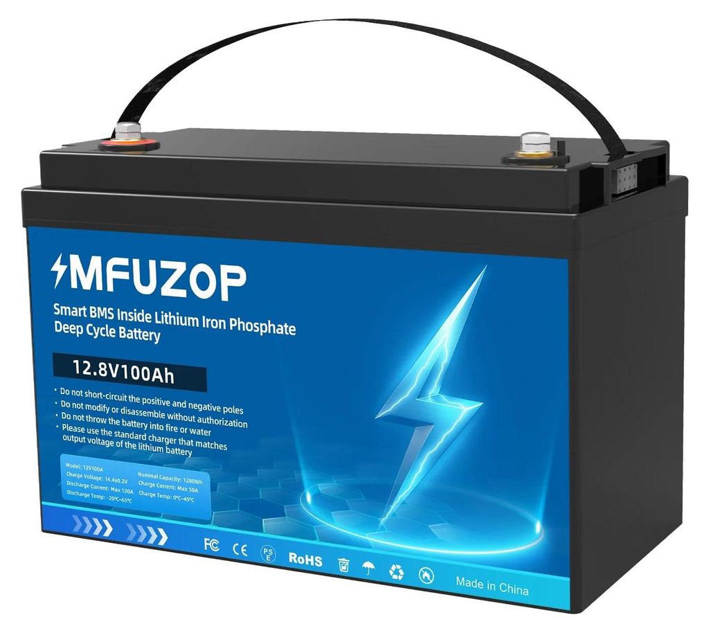 LiFePO4 Batterie - 12V 100Ah - Integriertes BMS - Bis zu 8000 Zyklen - Deep-Cycle für Solar, Wohnmobil, Boot - DT-100Ah-12V-B