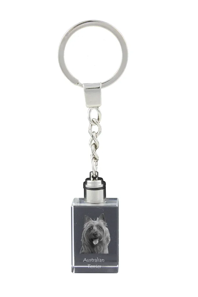 Portachiavi Metallico Double Face Con Scritta Border Terrier – Idea Regalo Per Amanti Dei Cani (Confezione Regalo)