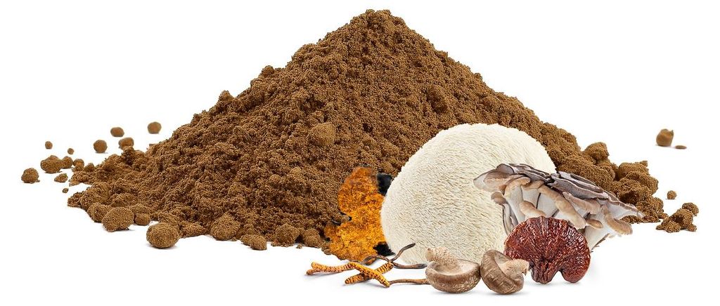 Adaptogene Mischung aus 6 Pilzen – Pulver, 1000g