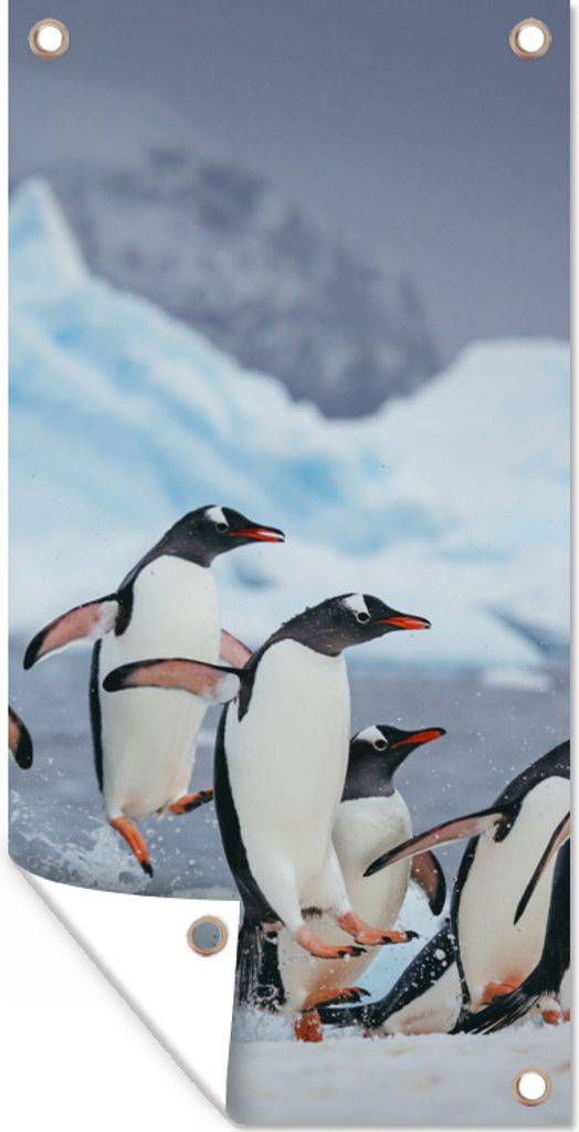 MuchoWow 30x60 cm Outdoor-Poster Gartendeko Sichtschutz Garten Poster für den Garten Pinguine springen aus dem Wasser