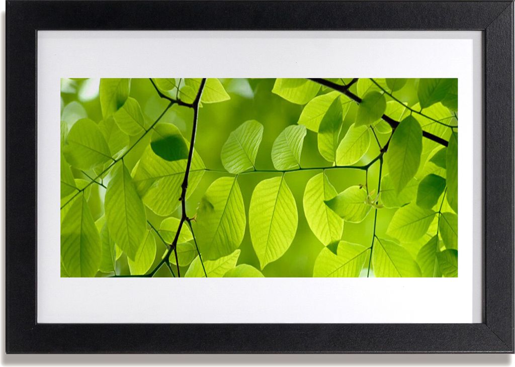 Bild 30x20 MDF-Rahmen Wandkunst Blätter Natur Pflanze