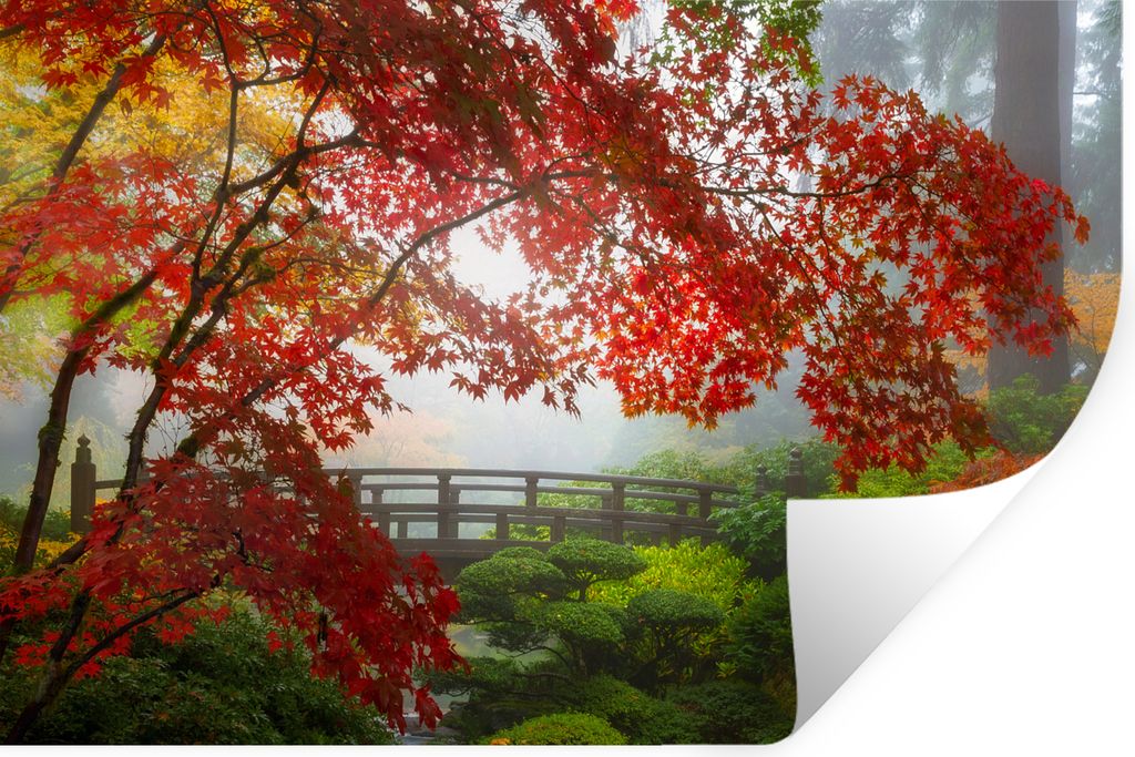 MuchoWow Wandtattoo Wandsticker Wandaufkleber Japanischer Ahorn - Bäume - Brücke - Natur - Japanisch 90x60 cm Selbstklebend und Repositionierba...