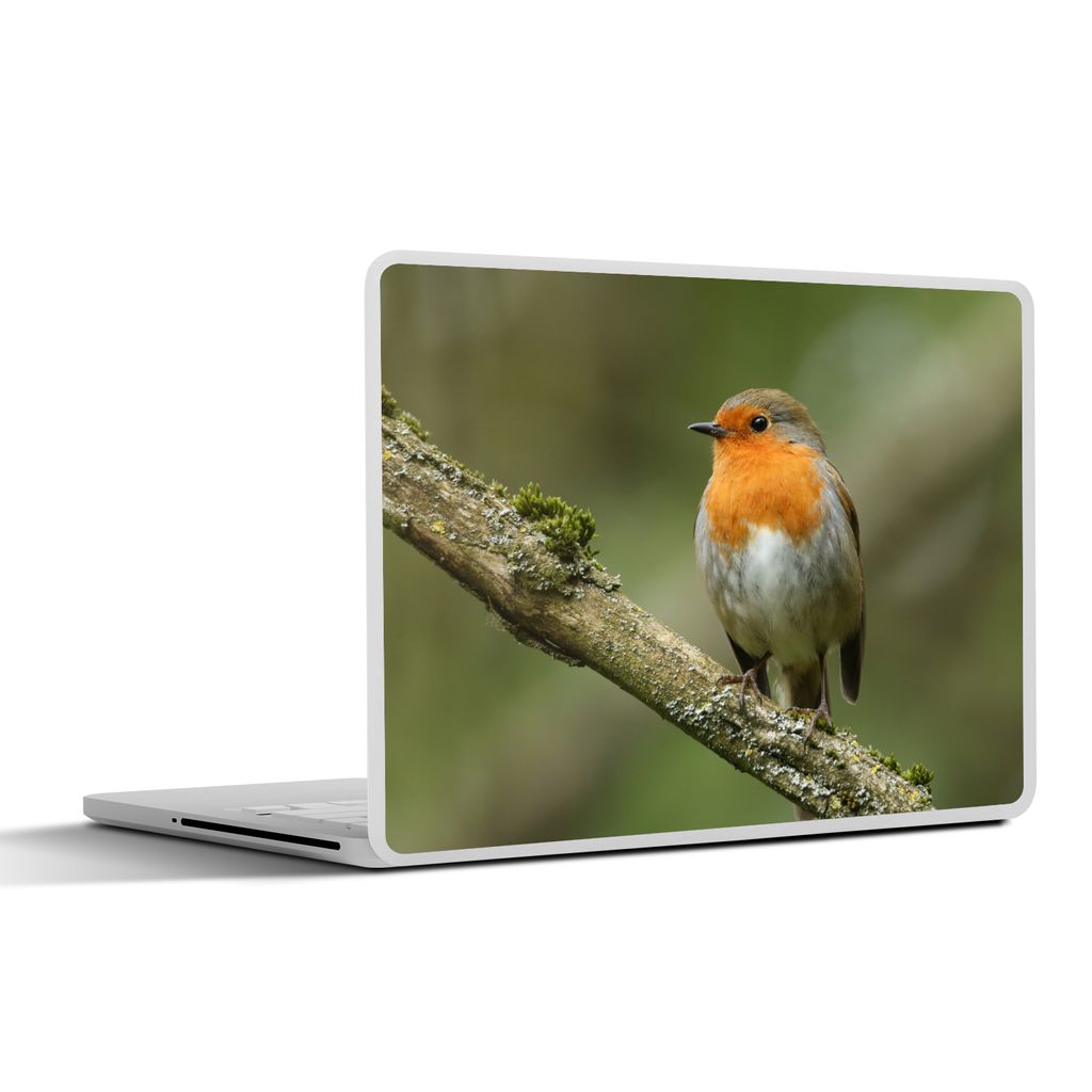 MuchoWow Laptop Aufkleber Sticker Cover Vogel - Rotkehlchen - Zweig - Pflanzen 32.5x23.5 cm - Sticker für Laptop - Selbstklebend