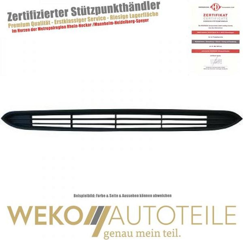 Lüftungsgitter Stoßstange DIEDERICHS 3457044 für ABARTH passend für FIAT