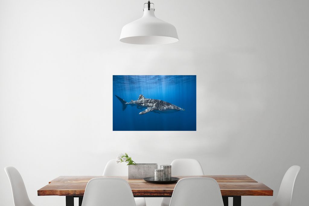 MuchoWow Poster Walhai im Sonnenlicht 90x60 cm - Schlafzimmer