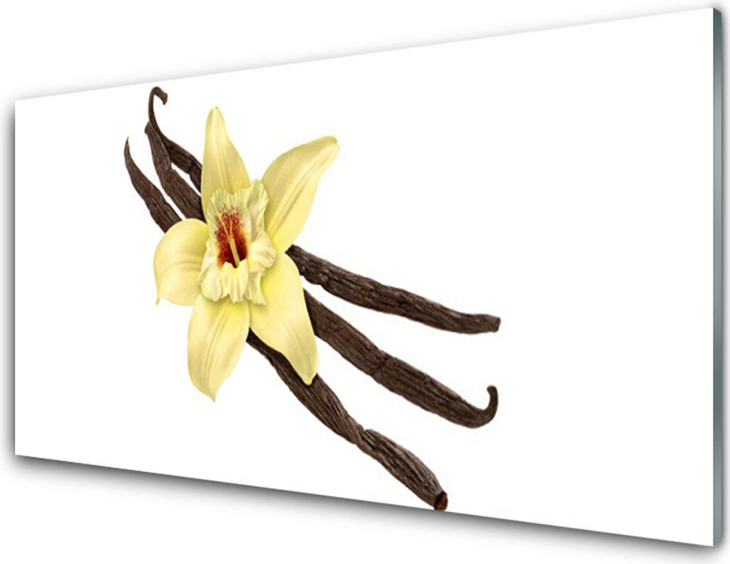 Acrylglasbilder 100x50 Wandbild Druck Blume Pflanzen