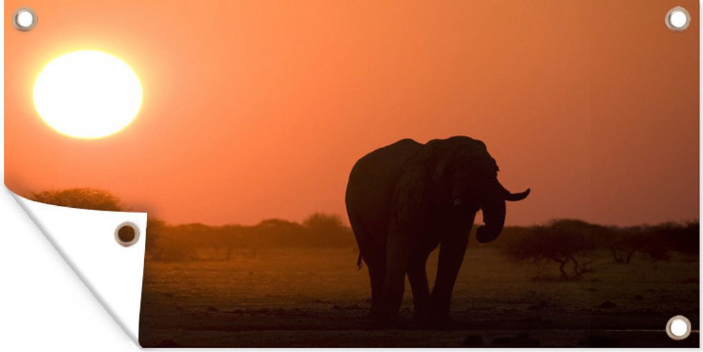 MuchoWow 160x80 cm Outdoor-Poster Gartendeko Sichtschutz Garten Poster für den Garten Elefant bei Sonnenuntergang im Nxai Pan National Park