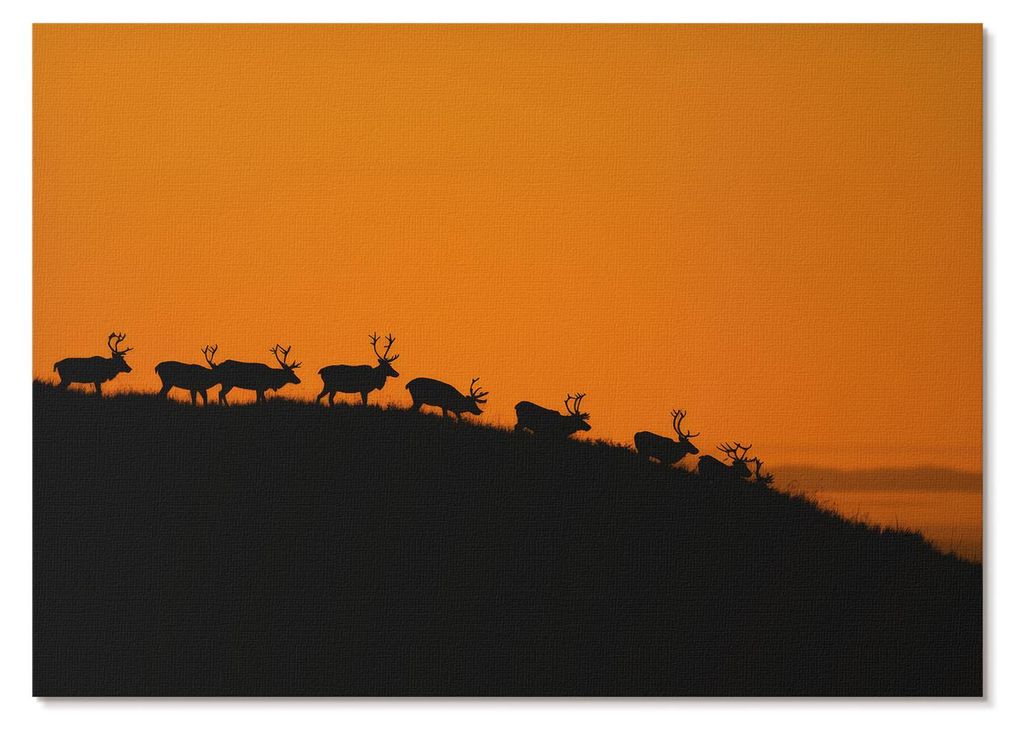 POSTER - 29x21 cm (A4) - Nadia Nowak - Silhouetten von Hirschen auf einem Hügel vor orangefarbenem Hintergrund - Wandbild für Wohnzimmer Schlafzi...