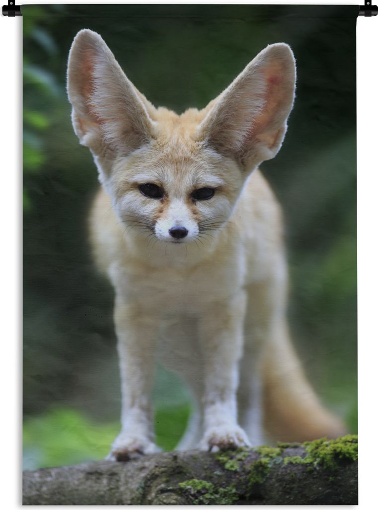 MuchoWow® Wandteppich Wandbehang Fuchs - Wald - Natur 60x90 Produktbild 