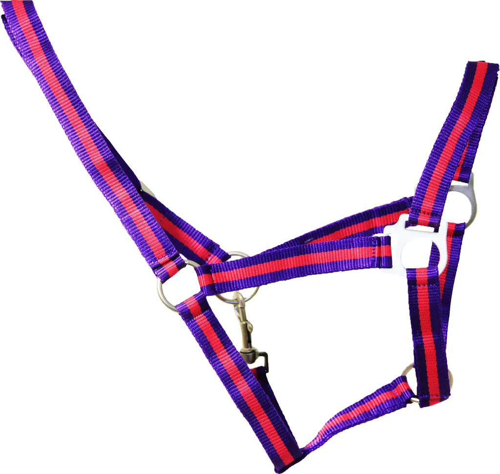 Licol Hy Duo Licol BZ128 Taille Cob Viola Fuchsia pour Équitation