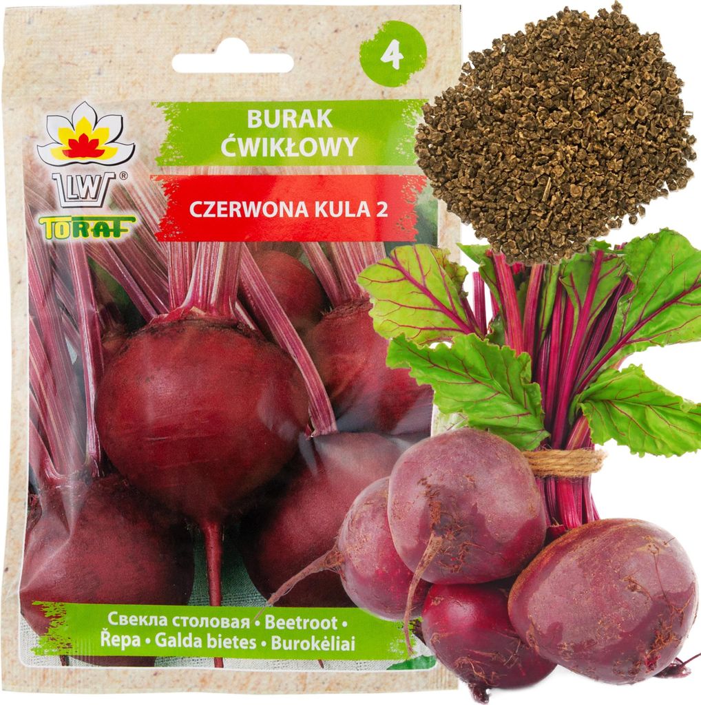 Rote Bete Kugel 2 10G Rote Bete Samen