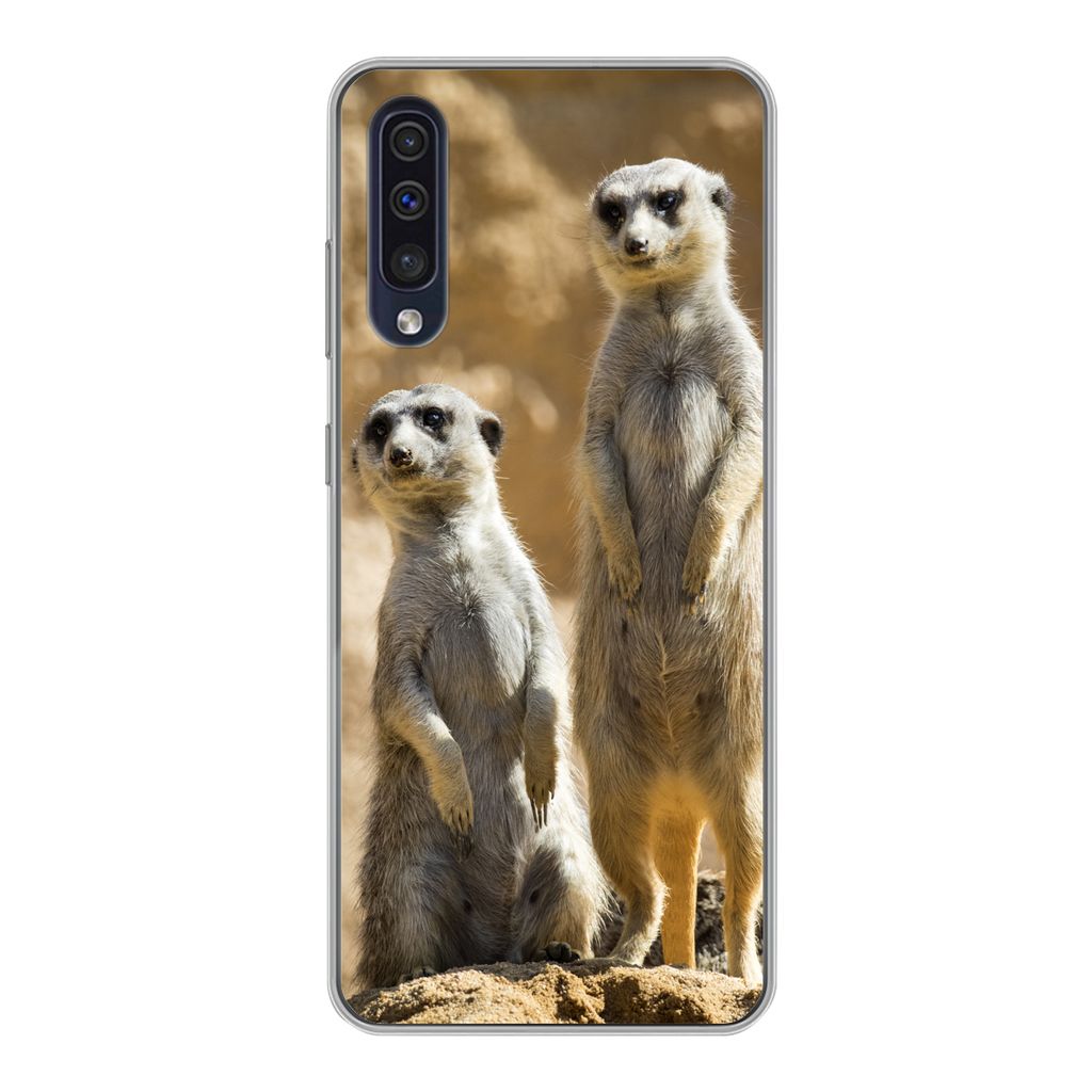 MuchoWow Handyhülle Schutzhülle Hülle für Samsung Galaxy A30s Felsen - Erdmännchen - Tiere Silikon Softcase Handy Hülle - Karteninhaber