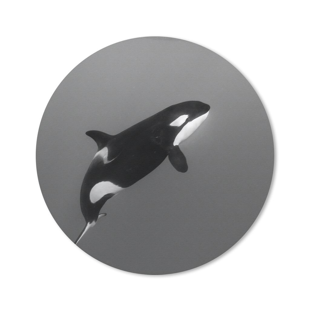 MuchoWow Mauspad Mousepad Orca - Wasser - Tiere 20x20 cm - Mousepads - Maus Mat - Pad - Mausunterlage - Schreibtischmatte