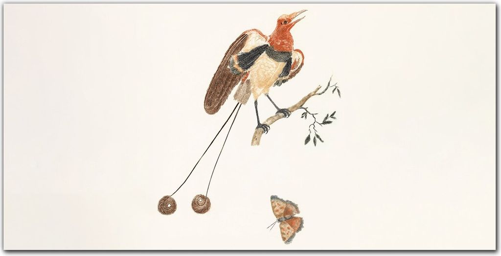 Coloray Bild aus Leinwand 120x60 Leinwand Dekoration - Tier Vogel Zweig