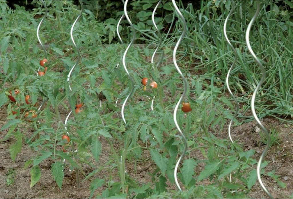 floraworld Tomatenspiralstab 180 cm verzinkt 10 Stk