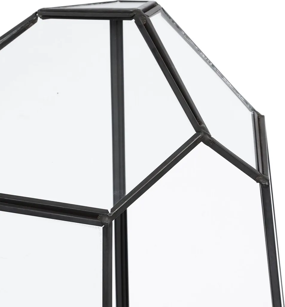 Terrarium géométrique en verre pour succulentes - Modèle Hexa 25 cm - 5