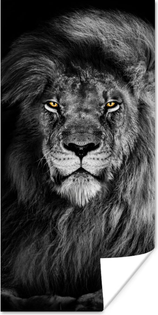 MuchoWow Poster Löwe - Augen - Orange - Schwarz und weiß - Tiere - Porträt 20x40 cm - Plakat - Foto