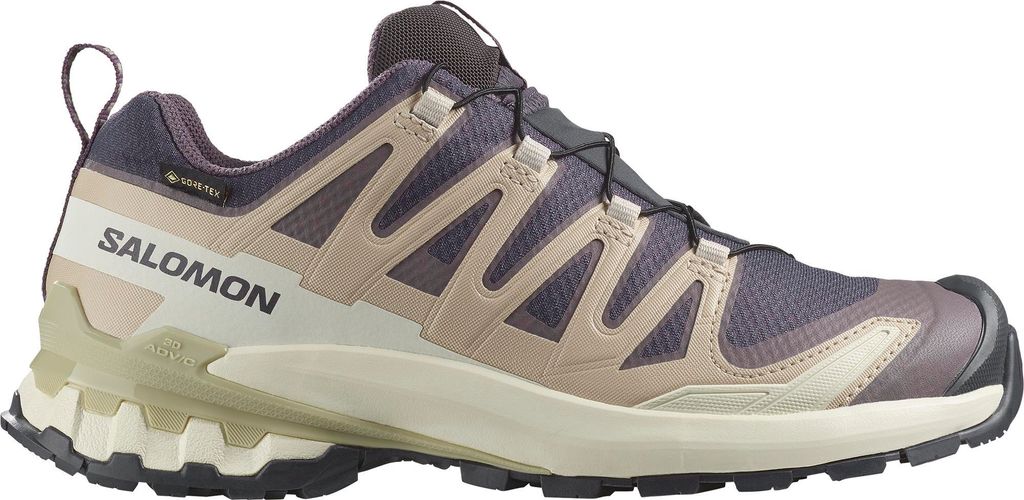 SALOMON SHOES XA PRO 3D V9 GTX W 9 Iron/Oxford/A 000 000 38.5