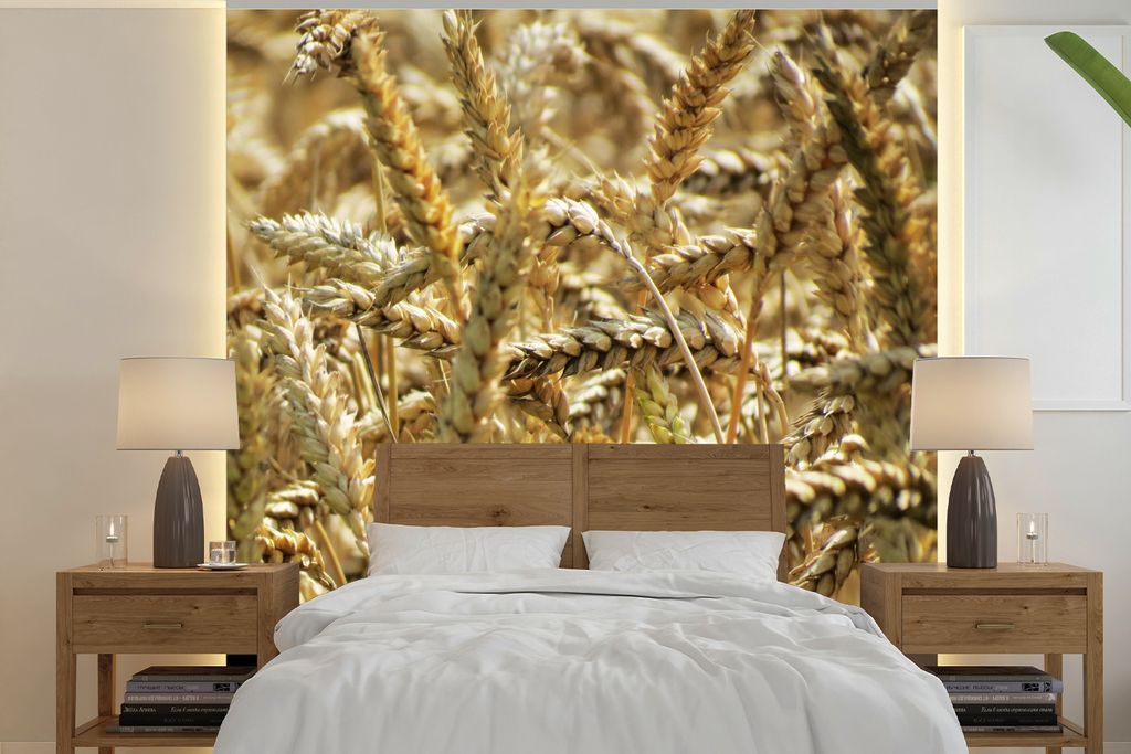 MuchoWow Fototapete für Wohnzimmer oder Schlafzimmer Wandtapete Vinyl Motivtapete Dinkel - Getreide - Weizen - 350x350 cm - Schlafzimmertapete