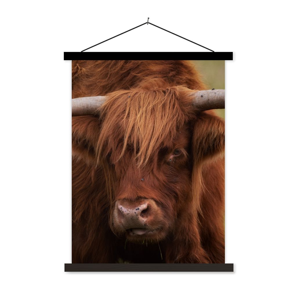 MuchoWow Textilposter Schottischer Highlander - Orange - Tiere 90x120 cm mit schwarzem Rahmen - Dekoration