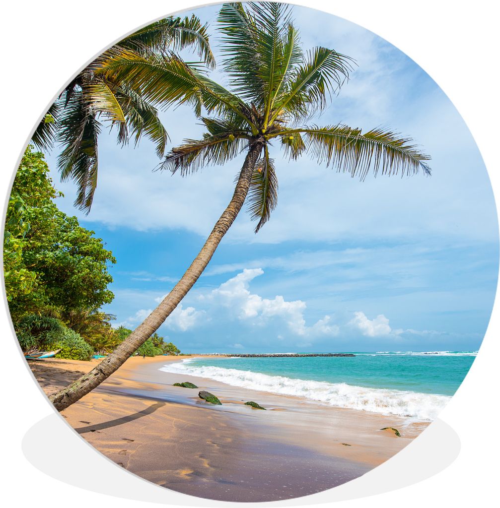 MuchoWow Rundes Wandbild - Runde Bilder Palme - Strand - Meer Ø 60 cm Kreis Wanddekoration Kunststoff - Wandkreis - Wandschmuck - Wand Kreis - D...