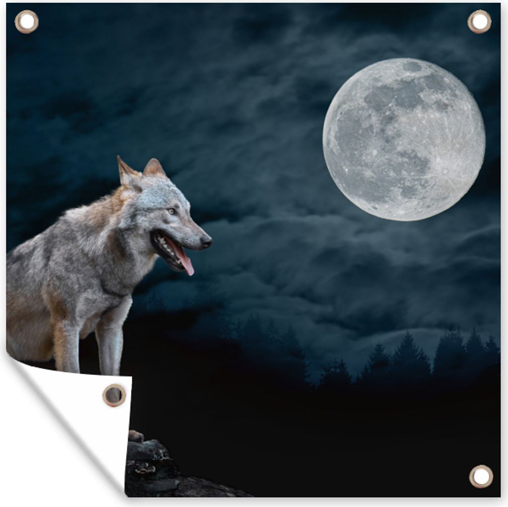 MuchoWow 100x100 cm Outdoor-Poster Gartendeko Sichtschutz Garten Poster für den Garten Wolf - Mond - Nacht - Tiere - Porträt