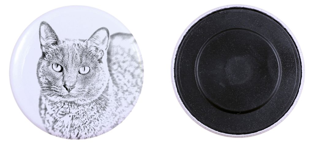 Korat Katze - Sammlung von einzigartigen Magneten, eigenes Foto, Marke Art-Dog