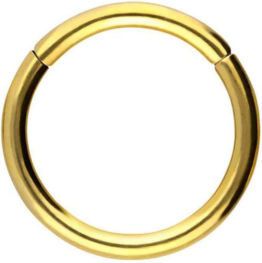 Ohrpiercing, Nasenpiercing, Septum Piercing Chirurgenstahl Segmentring Clicker Gold Innendurchmesser: 12mm + Stabstärke: 1,6mm