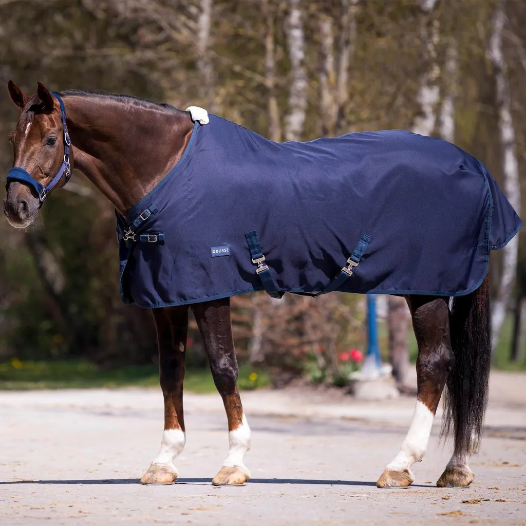 Couverture d'été Busse EARLY SEASON navy 0g pour chevaux en extérieur