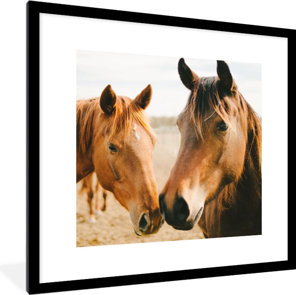 MuchoWow Gerahmtes Poster Pferd - Strand - Tiere 40x40 cm - Poster mit Schwarzem Bilderrahmen Wandposter Rahmen Foto Bilder - Poster - Plakat im ...