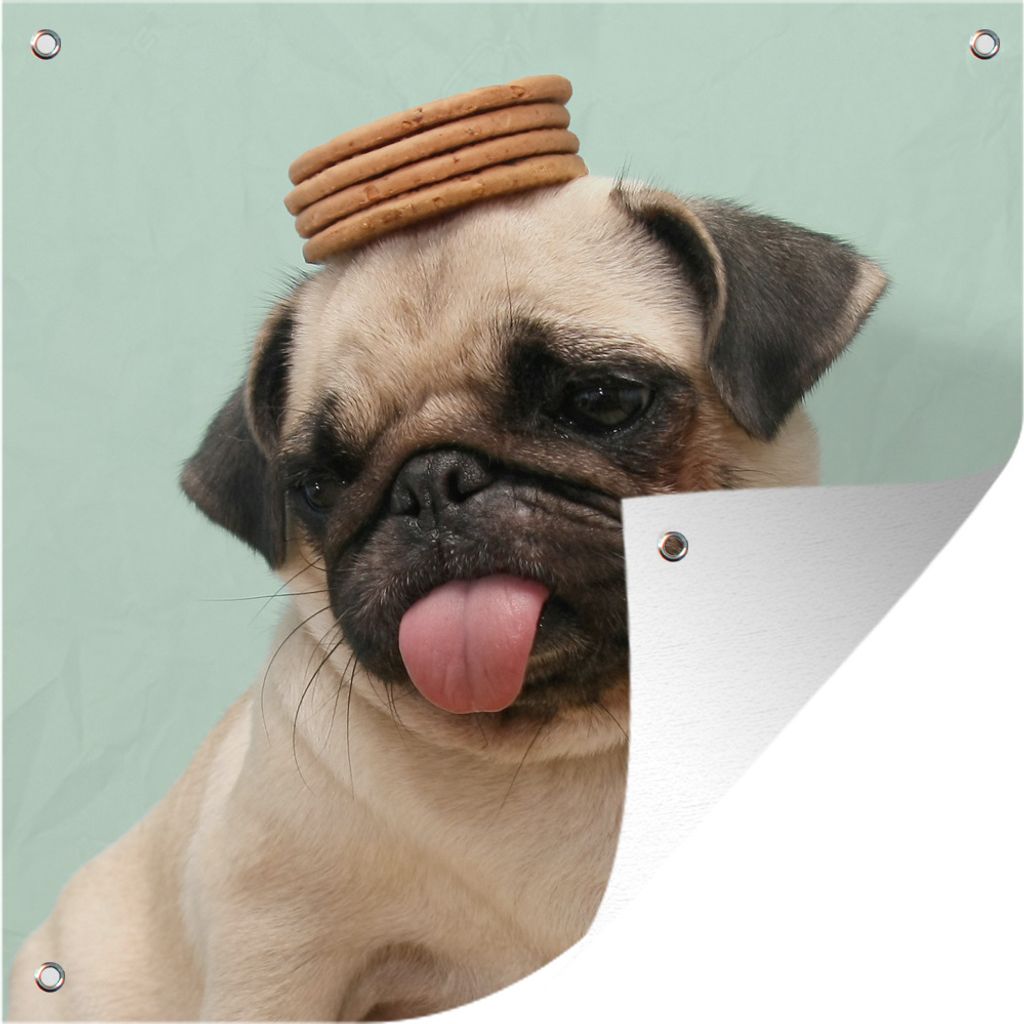 MuchoWow 100x100 cm Outdoor-Poster Gartendeko Sichtschutz Garten Poster für den Garten Hund - Lustig - Kekse - Kinder - Jungen - Mädchen - Kinder