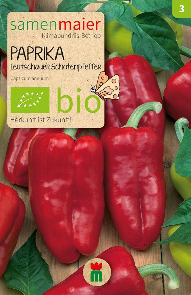 Scharfer Paprika Leutschaür Schotenpfeffer | -Paprikasamen von Samen Maier