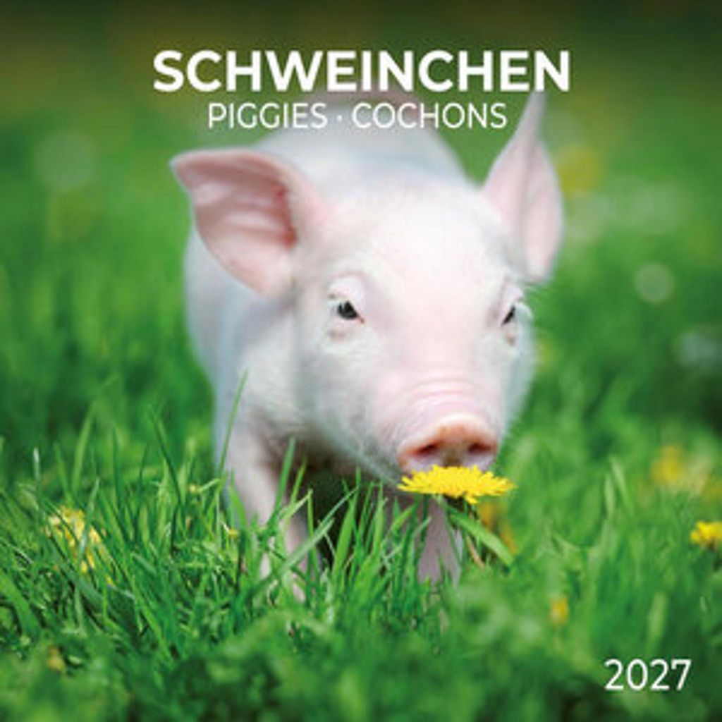Prasiatka / Piggies 2027 Obrázok produktu 