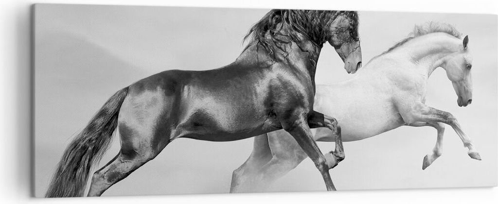 Bild auf Leinwand - Leinwandbild - Pferde Tiere Galopp Wiese - 140x50cm - Wand Bild - Wanddeko - Leinwanddruck - Bilder - Kunstdruck - Wanddekorati...