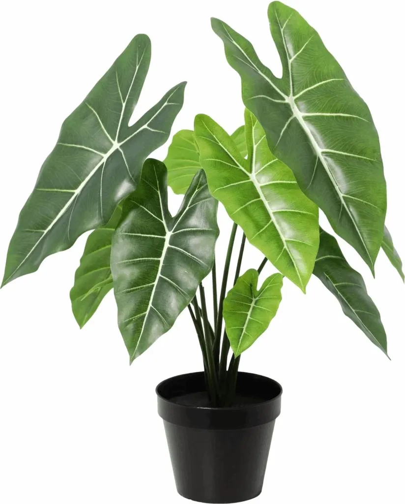 Plante artificielle Alocasia Polly 40 cm idéale pour bureau et salon