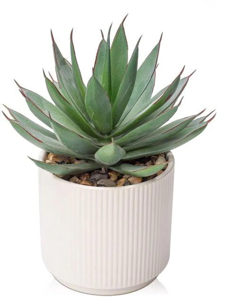 Plante d'Aloe Vera Artificielle en Pot Céramique de 22 cm - Déco Réaliste