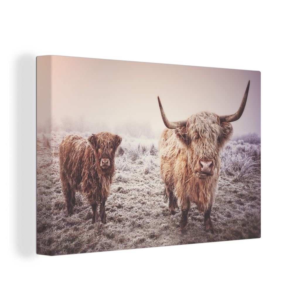 OneMillionCanvasses - Leinwandbilder - 140x90 cm, Schottisches Hochlandrind - Winter - Schnee - Kuh - Wiese - Braun, Wandbilder Kunstdruck Wandde...