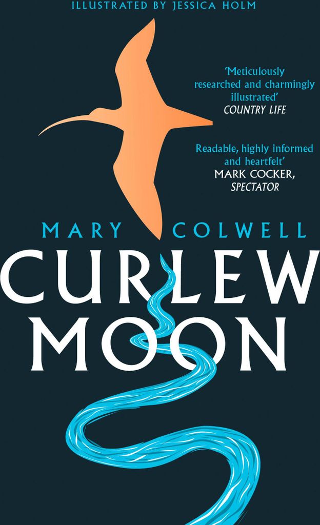 Curlew Moon