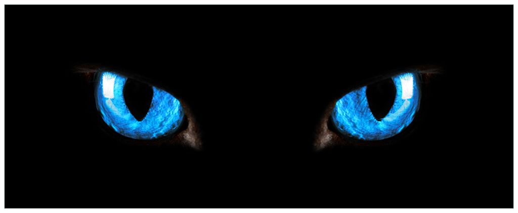Wallario Wandbild aus Acryl, 125 x 50 cm, freischwebende Optik - Blaue Katzenaugen bei Nacht