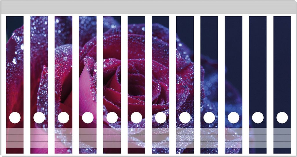 Wallario Ordnerrücken Sticker, selbstklebend für schmale Ordner, 12 Stück, Motiv Rote Rosenblüte im Regen