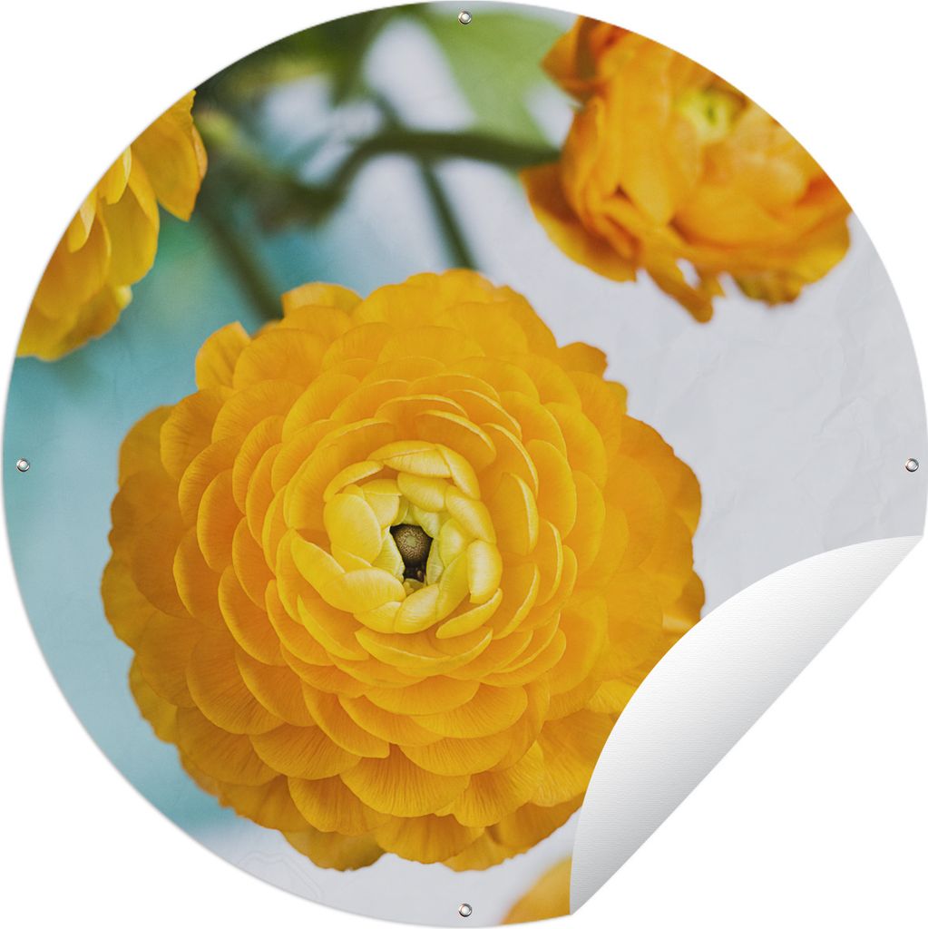 MuchoWow Gartenposter Outdoor-Poster Rund Blumen - Draußen - Orange Ø 120 cm Gartendeko Rundes Poster draußen