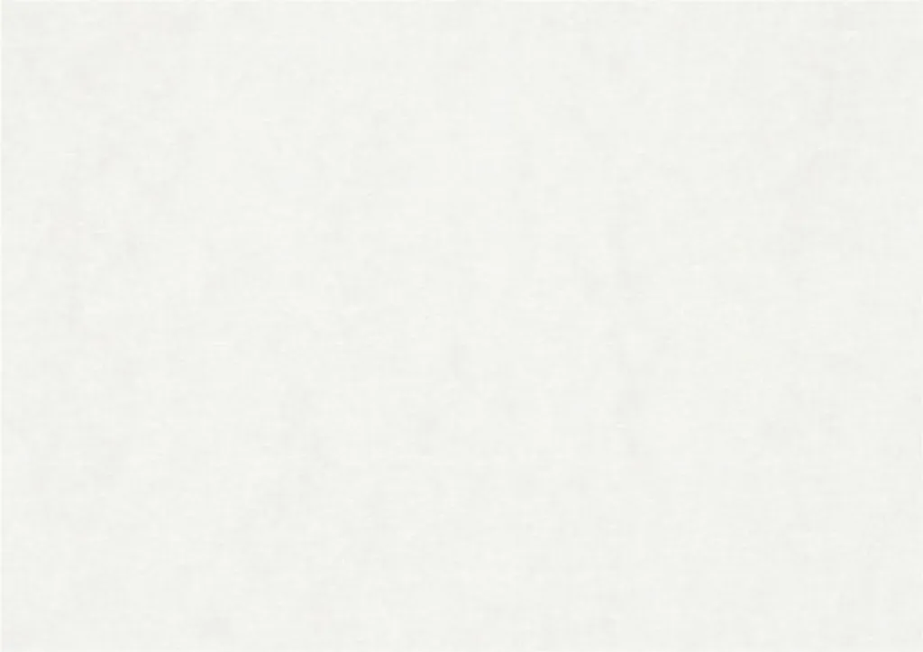 Carta per acquerello A2 200g - 100 Fogli Bianchi 42x59 cm per Artisti